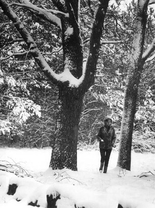 Bienenbüttel in Winter. Gisela während eines Spazierganges im verschneiten Wald