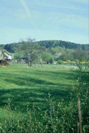 an die Grundstücke anschließende Wiesen und Weiden