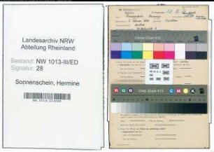 Entnazifizierung Hermine Sonnenschein , geb. 05.02.1889 (Lehrerin)