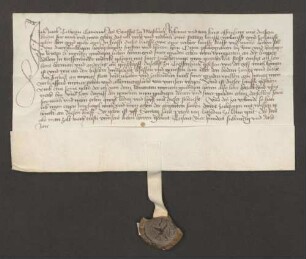 Jakob von Talheim, Kanoniker des Stifts Mosbach, verkauft dem Pfalzgrafen Otto seinen Weingarten an der Huppenhelde zu Tiefenbach.