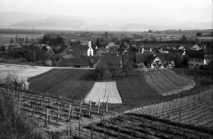 Freiburg, Waltershofen: Von der Höhe auf Waltershofen mit Blütenbaum