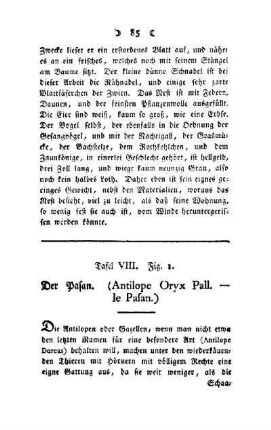 ¬Der¬ Pasan : (Antilope Oryx Pall - le Pasan) ; Taf. VIII, Fig. 1