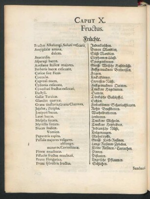 Caput X. Fructus. Früchte.