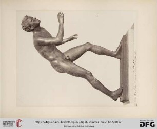 No. 565(?). Discobole : bronze - Herculanum 1754