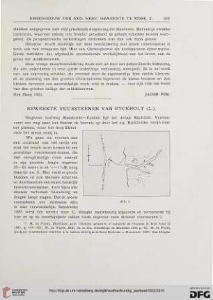 3.Ser. 2.1922: Bewerkte vuursteenen van Ryckholt