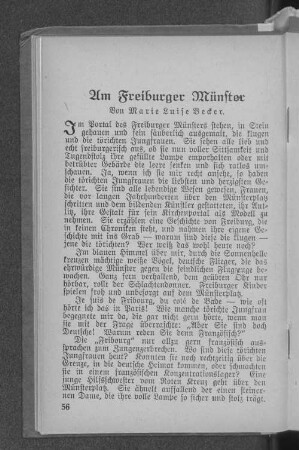 Am Freiburger Münster