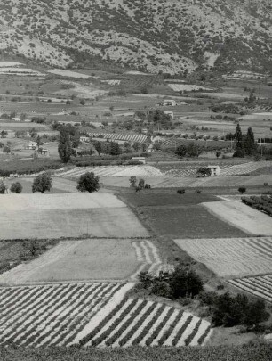 Landschaft im Vaucluse bei Malaucéne