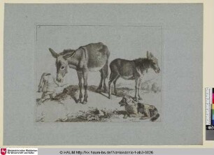 [Die Eselin mit dem Jungen, ein schlafender Hund, links eine Bäuerin]
