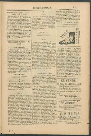 Exposición Nacional de 1892. : Sección de instrucción. Programa especial.
