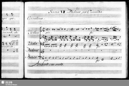 Cavatina: Va crescendo il mio tormento