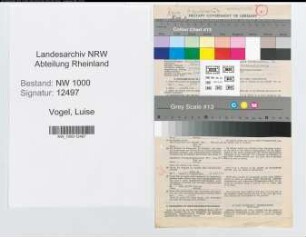 Entnazifizierung Luise Vogel, geb. 11.01.1906 (Kaufm.Angestellte)