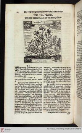 Die XII. Claß
