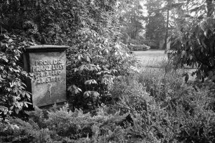 Ehrengrab für Kinderarzt Prof. Dr. Franz Lust auf dem Karlsruher Hauptfriedhof.