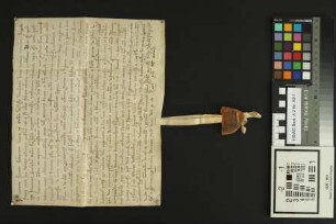 Harxheim: Schenkungsurkunde des Heinrich Scholaster der Mainzer Johanneskirche über mehrere in dem Bann von Harxheim gelegene Güter