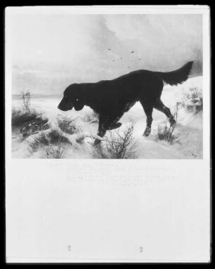 Jagdhund überrascht Hasen in Schneelandschaft