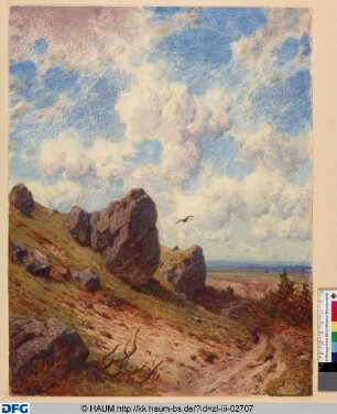 Karge Landschaft mit einem Vogel