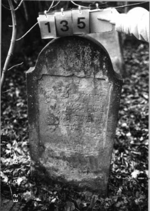 Grabstein 135 (Index: 99751942) Material: Sandstein Zustand: stark verwitt/abgeblätt. m. groß. Textverl. Maße HxBxT: 109x51x11 cm Beschreibung: Stele, eingezog. Rundbogenabschl. , Schriftfeld eingetieft: Grabstein 135