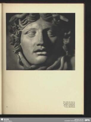 Das Antlitz der Medusa