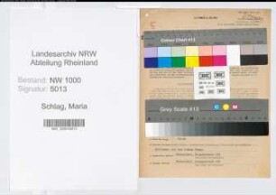 Entnazifizierung Maria Schlag, geb. 02.07.1895 (Postobersekretaerin)