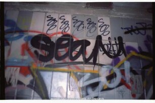 SeaM