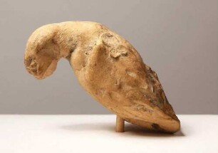 Vogel (Taube?)