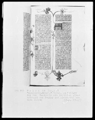 Eines der zwölf erhaltenen Pergamentexemplare der 42-zeiligen Bibel Gutenbergs — Band 1 der Gutenberg-Bibel — Initialen A(pud hebreos) und A(rpharat), Folio 266recto