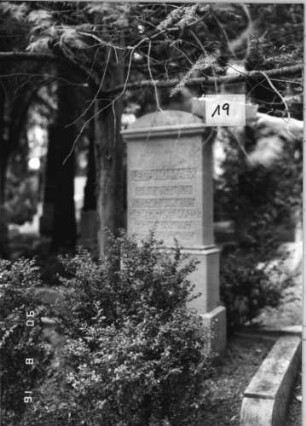 Grabstein 19 (Index: 99618197) Maße HxBxT: 141x51x25 cm Besonderheit: Familiengrab: Grabstein 19