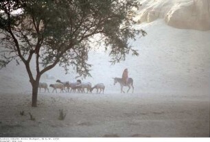Ägypten: Am Nilufer