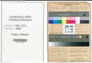 Entnazifizierung Wilhelm Pullen , geb. 01.07.1890 (Kaufmann)