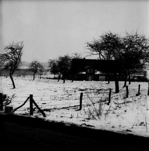 Streuobstwiese mit Apfelbäumen: Hauskoppeln mit Zaun: im Hintergrund Bauerngehöft: Winter