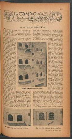 Un palomar práctico : El campo y la chacra