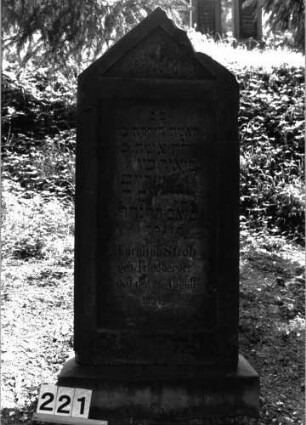 Grabstein 221