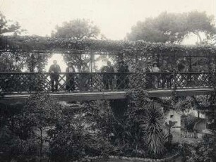 Gibraltar, Alameda-Gärten. Touristengruppe der Hapag auf einer Holzbrücke in den Gärten beim Betrachten der exotischen Pflanzenwelt