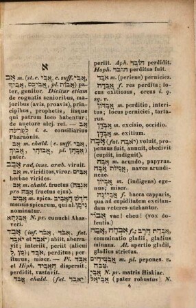 Lexicon Hebraicum et Chaldaicum in libros Veteris Testamenti : ordine etymologico compositum in usum scholarum