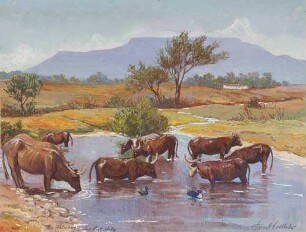Am Waterberg. Deutsch-Südwestafrika