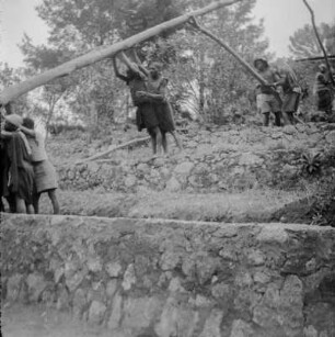Antennenmast : Männer errichten einen Antennenmast auf der Teeplantage von Isolde Hentschel