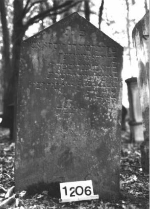 Grabstein 1206 (Index: 99899969) Material: Sandstein Zustand: unten leicht angewittert, sonst gut erhalten Maße HxBxT: 115x63x8 cm Beschreibung: Stele mit Dreiecksabschluss: Grabstein 1206