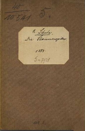 Die Stammerspitze : Von K. Schulz. 