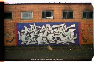 aniS