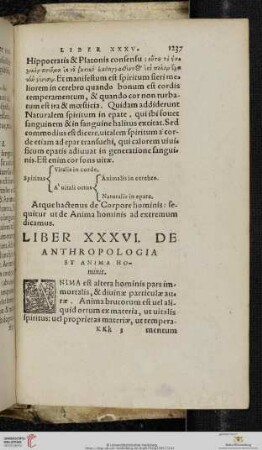 Liber XXXVI De Anthropologia Et Anima Hominis