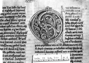 Rankeninitiale C, Folio 2 recto