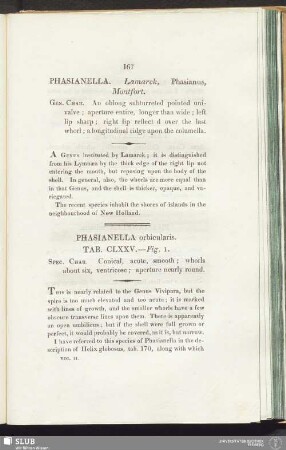 Phasianella orbicularis. Tab. CLXXV. — Fig. 1
