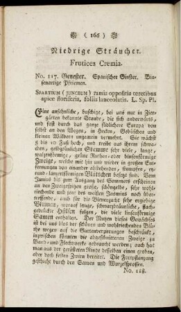 Niedrige Sträucher.
