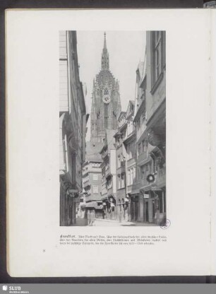 Frankfurt. Alter Markt und Dom
