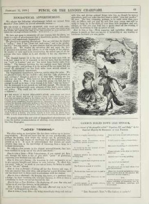 Biographical advertisement