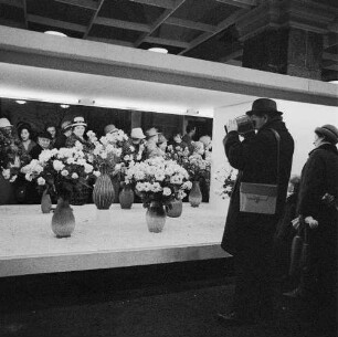 Dresden. Gartenausstellung. Ein Fotograf mit Kamera vor einer Ausstellungsfläche mit Nelken in Vasen