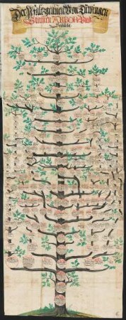 Tafel 7: Pfalzgrafen von Tübingen
