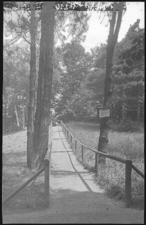 Hainichen. Im Stadtpark
