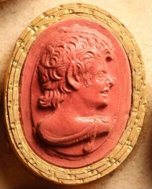 Faun