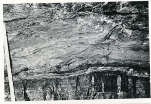 Freital-Zauckerode. Paul-Berndt-Grube (ehemaliger Königin-Carola-Schacht), Grubenfeld Kaiserschacht (x - 378, y - 2035). Streb 25. Vertaubung der oberen Bänke des 1. Flözes. In der Mitte die Große Lette, darunter die Ziegellette, am Zollstock die Brandschichtlette. Ausschnitt mit kleinen Geröllen (einmalig in dieser Position)